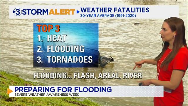 Flooding risk to life and property смотреть онлайн