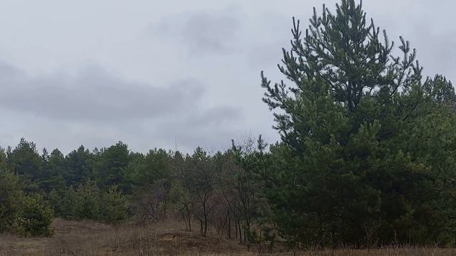 1 января праздник Новый год.Что можно и нельзя делать.Новогодние приметы.Народные приметы и традици