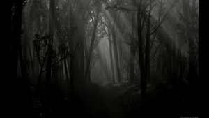 Рассказы на ночь. Стивен Кинг "Н" (2)