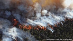 ПОСЛЕДНЕЕ ВРЕМЯ, стих Якова Бузинного.
