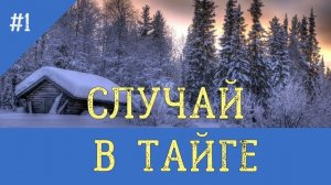 СЛУЧАЙ В ТАЙГЕ | ВЫЖИТЬ ЗИМОЙ В СУГРОБЕ | ВЫЖИВАНИЕ В ЛЕСУ БЕЗ ЕДЫ | С СОБАКОЙ ЛАЙКОЙ ОХОТА