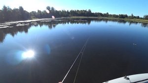 Рыбалка на Смоленском водохранилище. Самый стабильный водоём)))