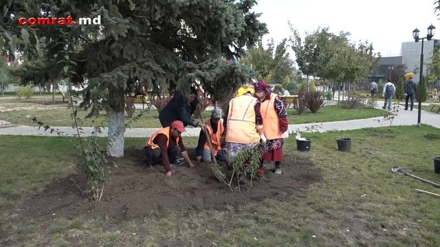 В КОМРАТСКОМ ЦЕНТРАЛЬНОМ ПАРКЕ ПРОВОДЯТСЯ ОЗЕЛЕНИТЕЛЬНЫЕ РАБОТЫ смотреть онлайн
