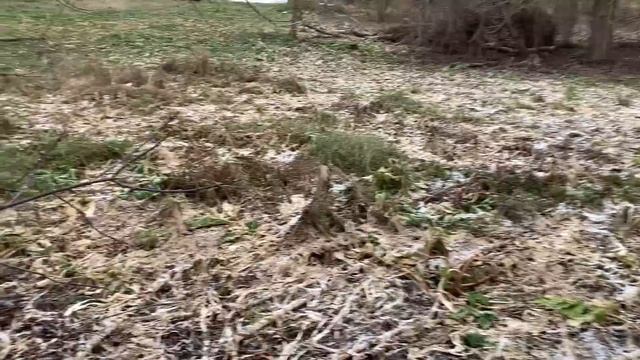 Живем на два дома! Как не надо поросят продавать! смотреть онлайн