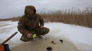 Рыбалка На Ротана со льда на болоте