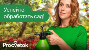 ОБРАБОТАЙТЕ ЭТИМ ПЛОДОВЫЕ ПОСЛЕ СБОРА УРОЖАЯ! Самая эффективная обработка от болезней и вредителей