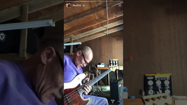 Flea Instagram Story Jam 4/15/20