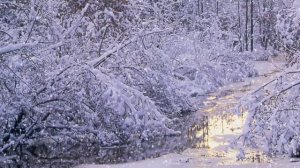 Frederic Chopin  - Waltz № 7  Winter