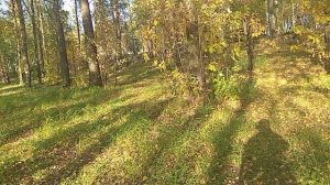 Прогулка