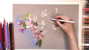 Ветка яблони в цвету • Цветные карандаши • Apple tree branch in bloom • Colour pencils