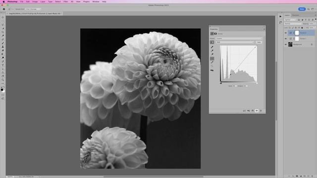 Кривые в Photoshop (Curves). Полноконтрастное изображение, тонирование [Для начинающих] смотреть онлайн