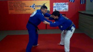 Throws/takedowns-Drop Ippon Seo Nage