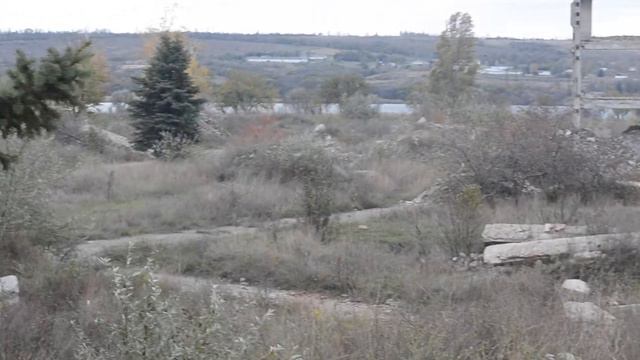 Пионерлагерь 