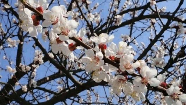 23 апреля народный праздник Солнцезаход. Народные приметы и традиции. Правила и запреты.