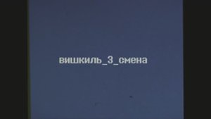 ДОЛ Вишкиль, 3 смена 2022