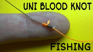 Соединительный узел uni blood knot. Как связать две лески между собой.mp4