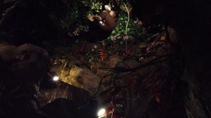 Рестораны Лондона Rainforest.Лучшие Рестораны Лондона.Интересные Места Лондон.Жизнь В Англии