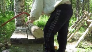Выращиваем шиитаке (посадка)