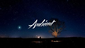 Narrow Skies - Beacon Lights