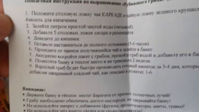 Чайный гриб смотреть онлайн