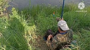 01.07.2023.Наконец-то хорошая рыбалка. Облавились карася. #влог#заплавное#рыбалка#караси