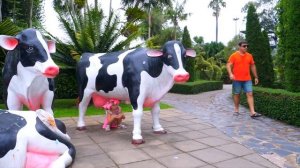 Настя и папа играют в прятки в Необычном парке развлечений Nastya and papa playing hide and seek