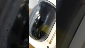 W&H ASSISTINA 301 Plus