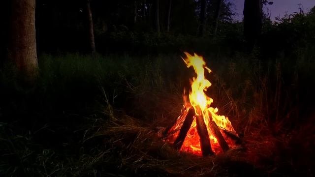 Crackling Campfire in the Woods: a Spooky Halloween Ambience