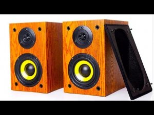 Пассивная акустическая система Lonvin Q1 30W Passive speaker system