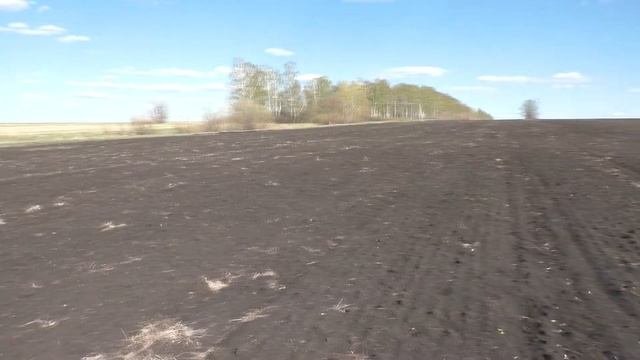 В поисках клада. Приборный поиск с металлоискателем.