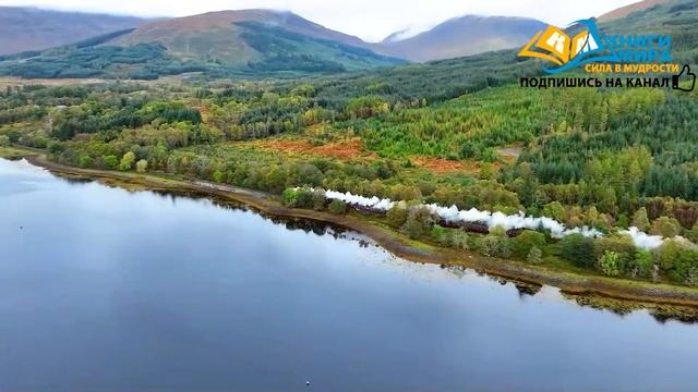 Лучшая Техника Лечения Неизлечимых Болезней! Исцеление Даже Онкологии и Психосоматики l Никошо смотреть онлайн