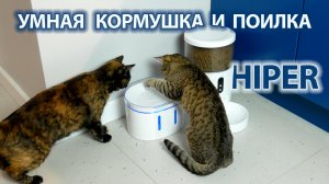 HIPER Pet Feeder и Pet Fountain – умные кормушка и поилка для животных