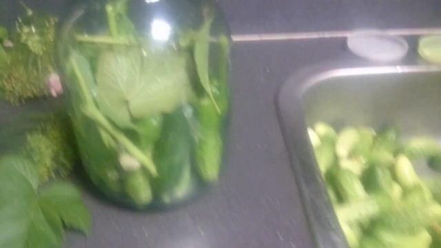 Соленые огурцы, часть 2 смотреть онлайн