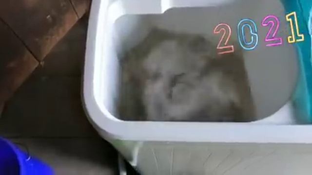 ?Живу в деревне?Стирка постельного белья,и не только?