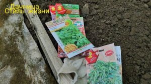 Витаминные грядки