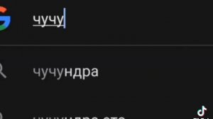 кто такой на самом деле чундра чучундра