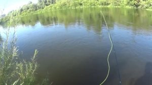 ЛОВЛЯ ОКУНЯ НАХЛЫСТОМ.mp4