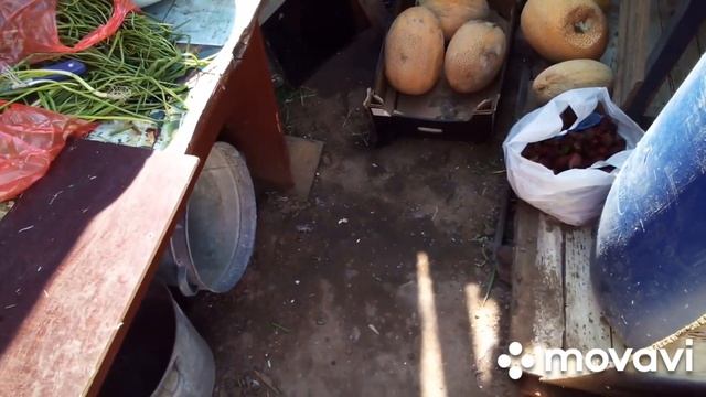 Корм для кур зелёный лук, дыни. Пилю дрова на зиму. смотреть онлайн