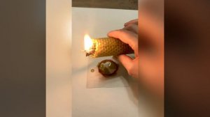 Программная свеча из вощины и трав. Чистка. Защита.