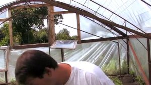 Влияние гумата калия на урожай (2011, Рост концентрат, часть 3, отзывы клиентов)