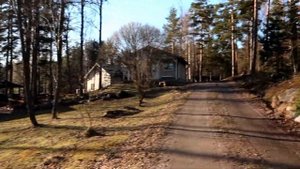 Наш дом В Финляндии! Начинаем перепланировку участка! Финляндия уже не та!