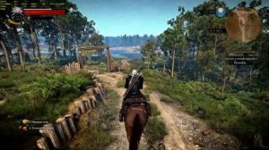 The Witcher 3 (GeForce GTX 1080TI, 4K)