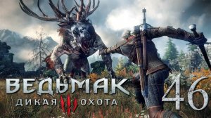 Ведьмак 3: Дикая Охота (The Witcher 3: Wild Hunt). СЫР И ТЕМНЫЕ СИЛЫ, ПИР И КУРЬЕРСКАЯ ДОСТАВКА #46