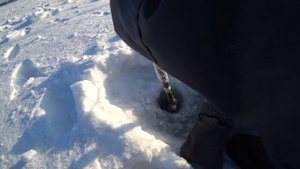 ГДЕ #РАКИ ЗИМУЮТ!!!? ЛОВЛЮ РАКОВ ЗИМОЙ.