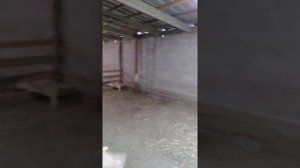 обзор зимнего загона для овец