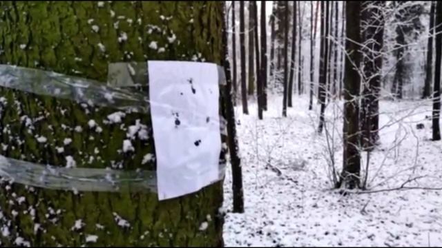 Охота на ворон с пистолетом "Искра" | PCP Пневматика до 7,5 ДЖ