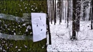 Охота на ворон с пистолетом "Искра" | PCP Пневматика до 7,5 ДЖ