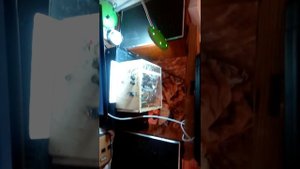 Колонки 10мас-1 + усилитель на tda 7294 /2 по сто ват