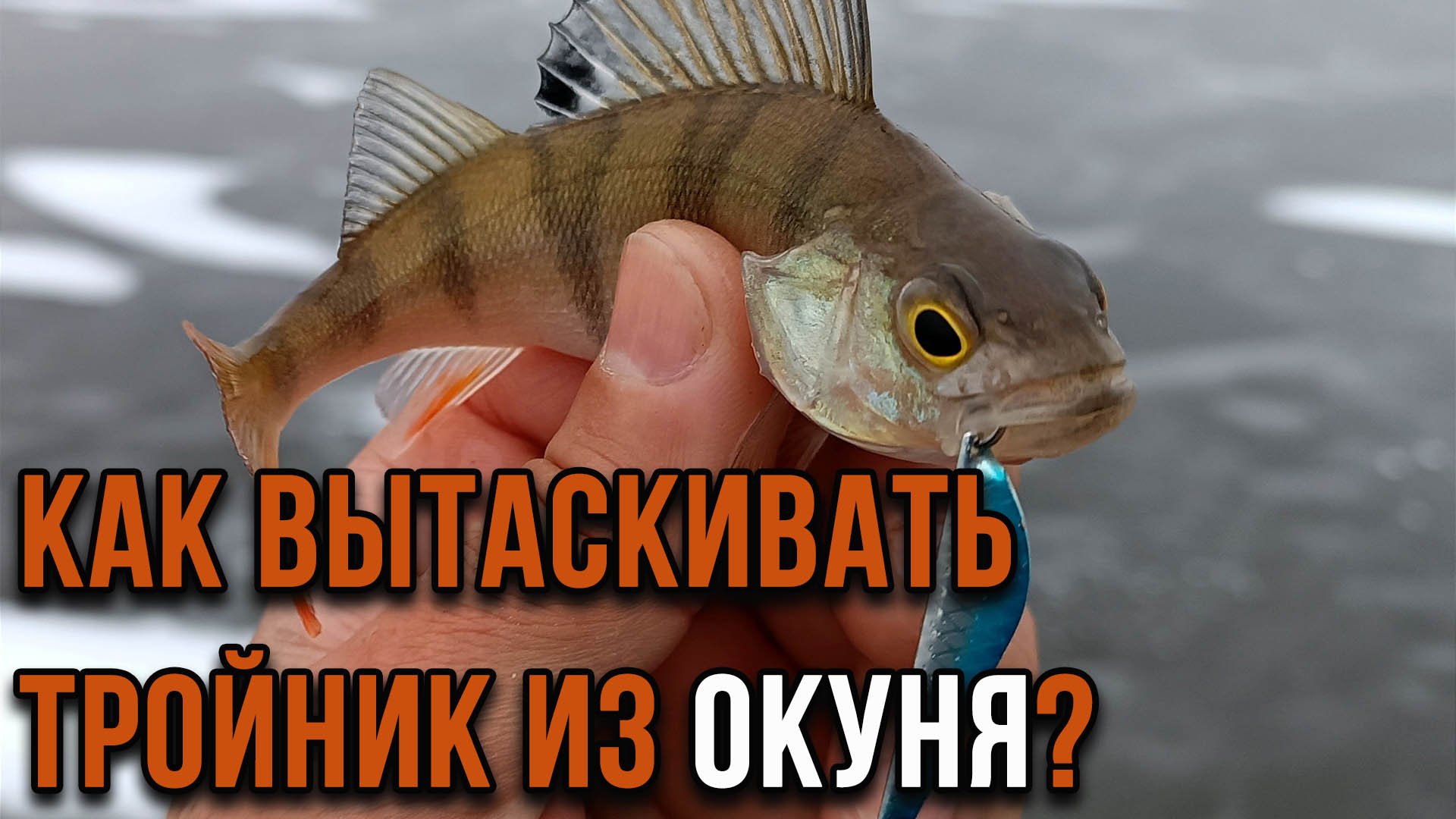 Как вытаскивать тройник из окуня?