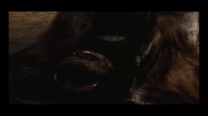 Silent hill 2 - Abstract Daddy "Boss" Fight (HARD)